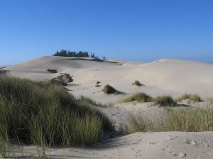 1024px-USA_Oregon_Dunes